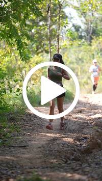 BIB:  <button type="button" onclick="openModal(27628817)" class="btn btn-primary btn-sm float-right" data-toggle="modal" data-target=".modal-high-quality">
                <i class="fa fa-download"></i> Download
                </button>